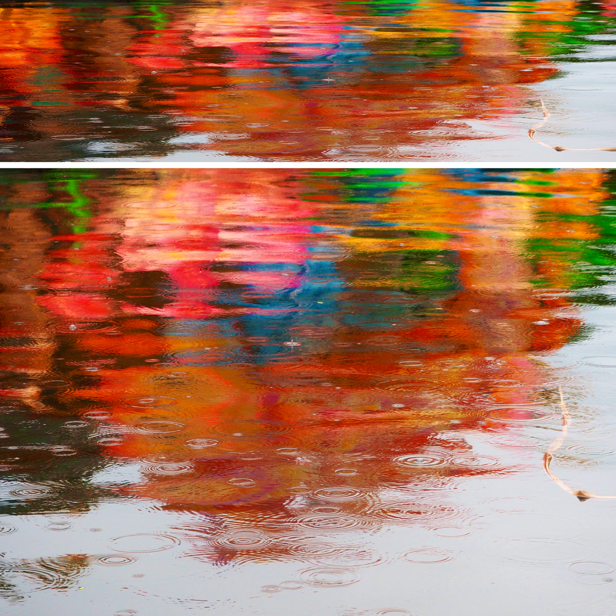 Colorful Lake Reflections