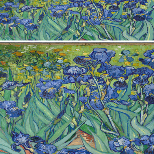 Irises