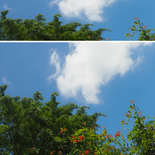 Bright Skies