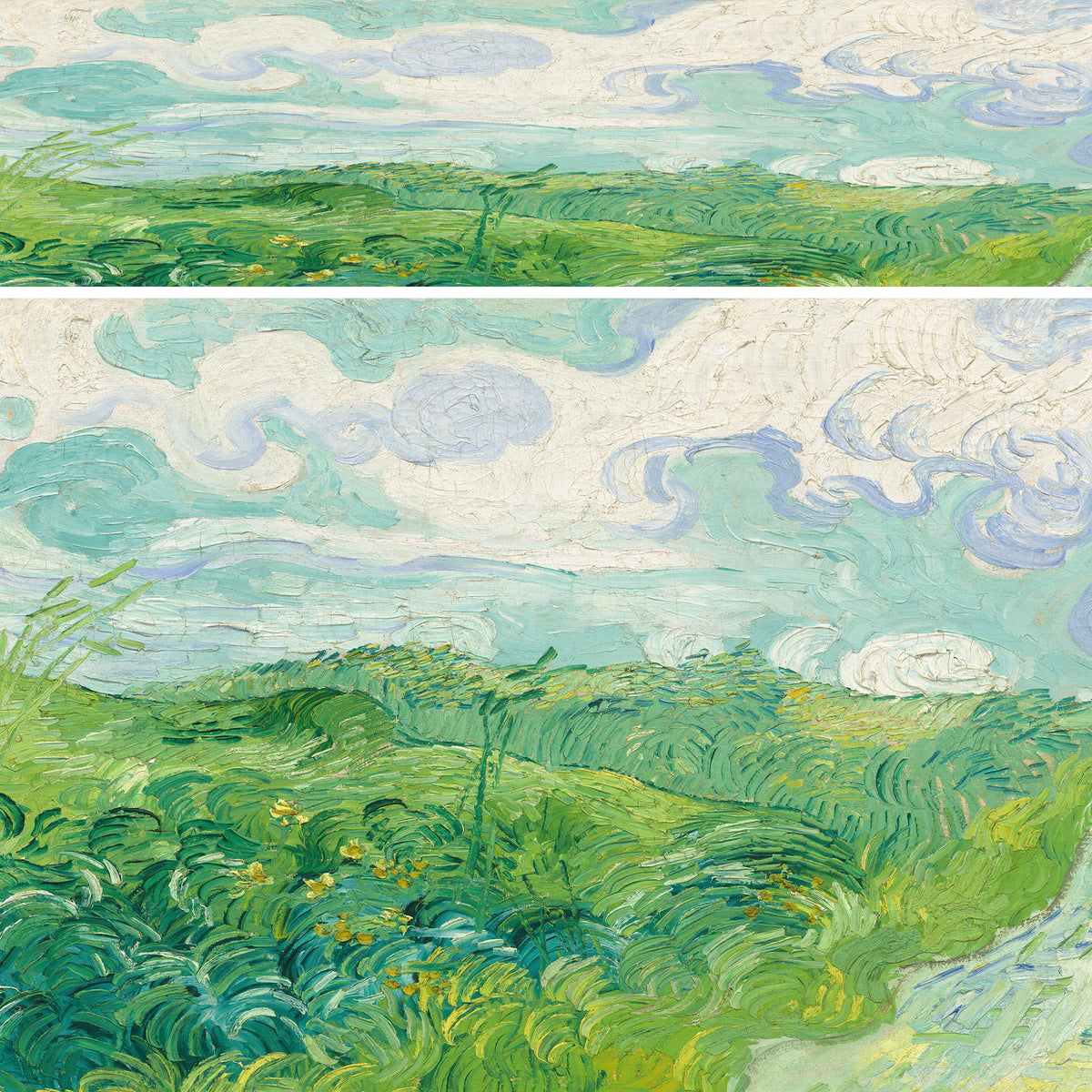 Green Wheat Fields
