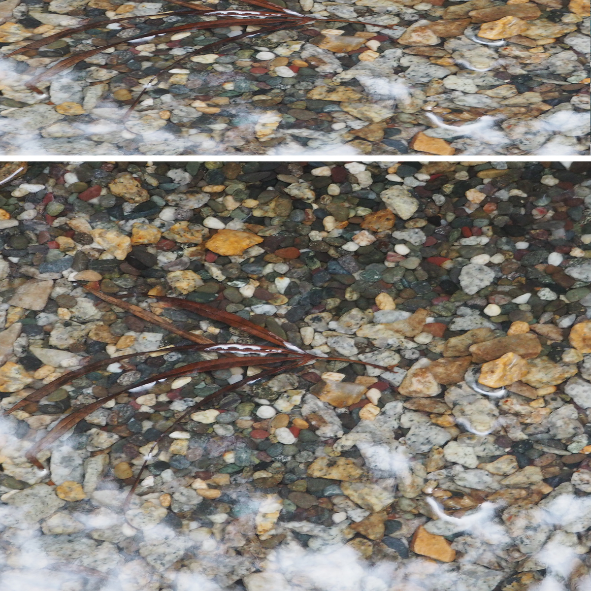 Streambed Stones