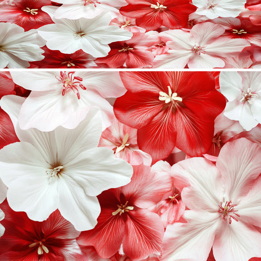 Flowers 11