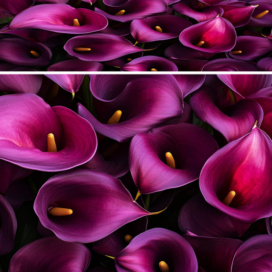 Flowers 07