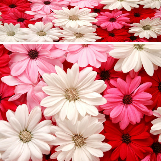 Flowers 09