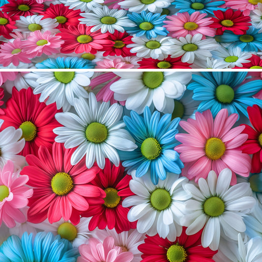 Flowers 14