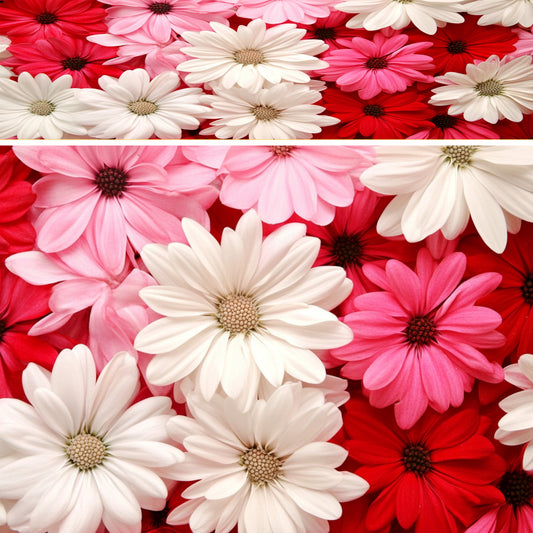 Flowers 12